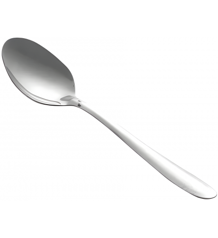 Stainless Steel TEA Spoon (set of 4)